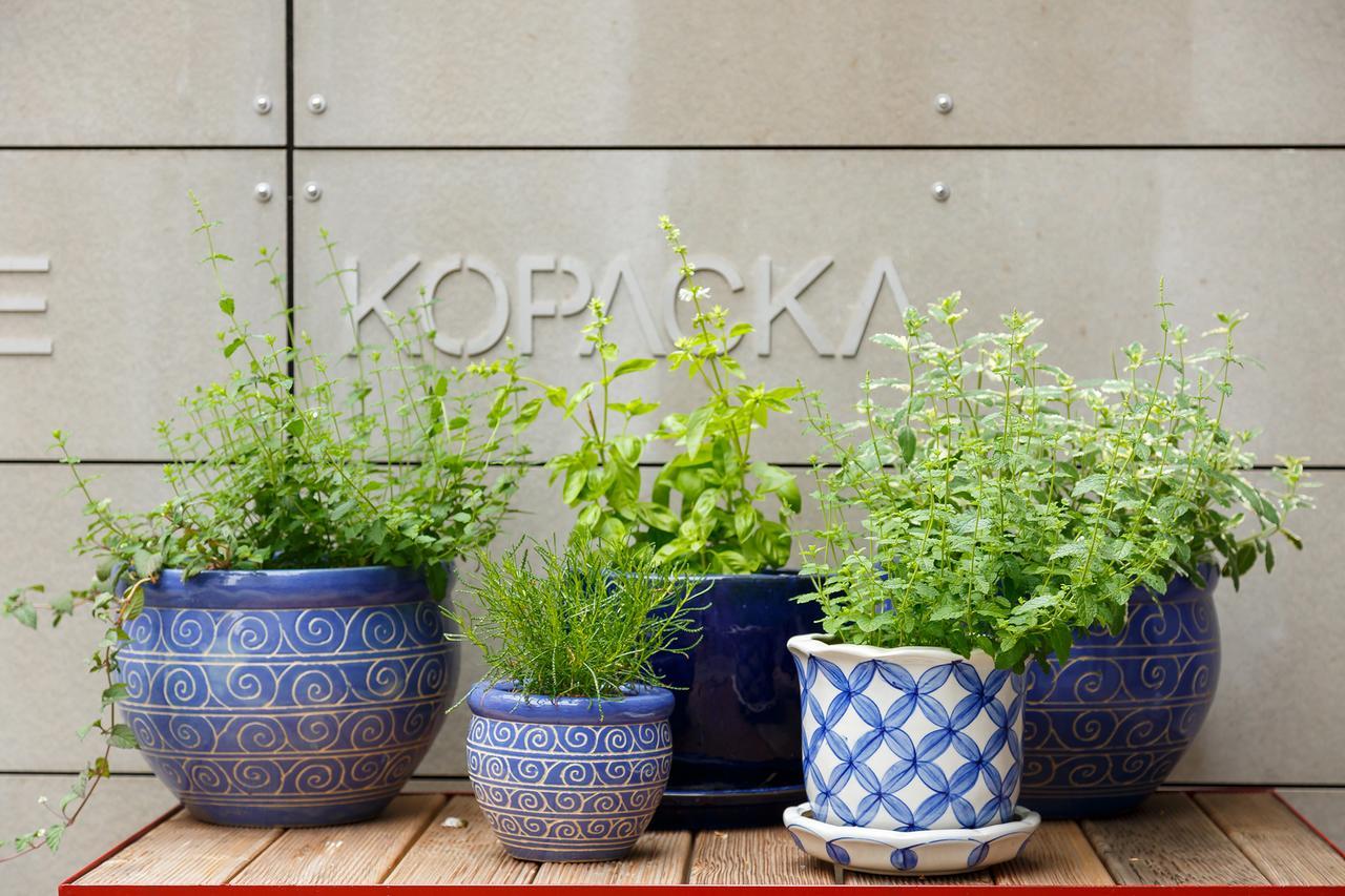 Hotel & Depandance Kopacka Lanskroun Luaran gambar